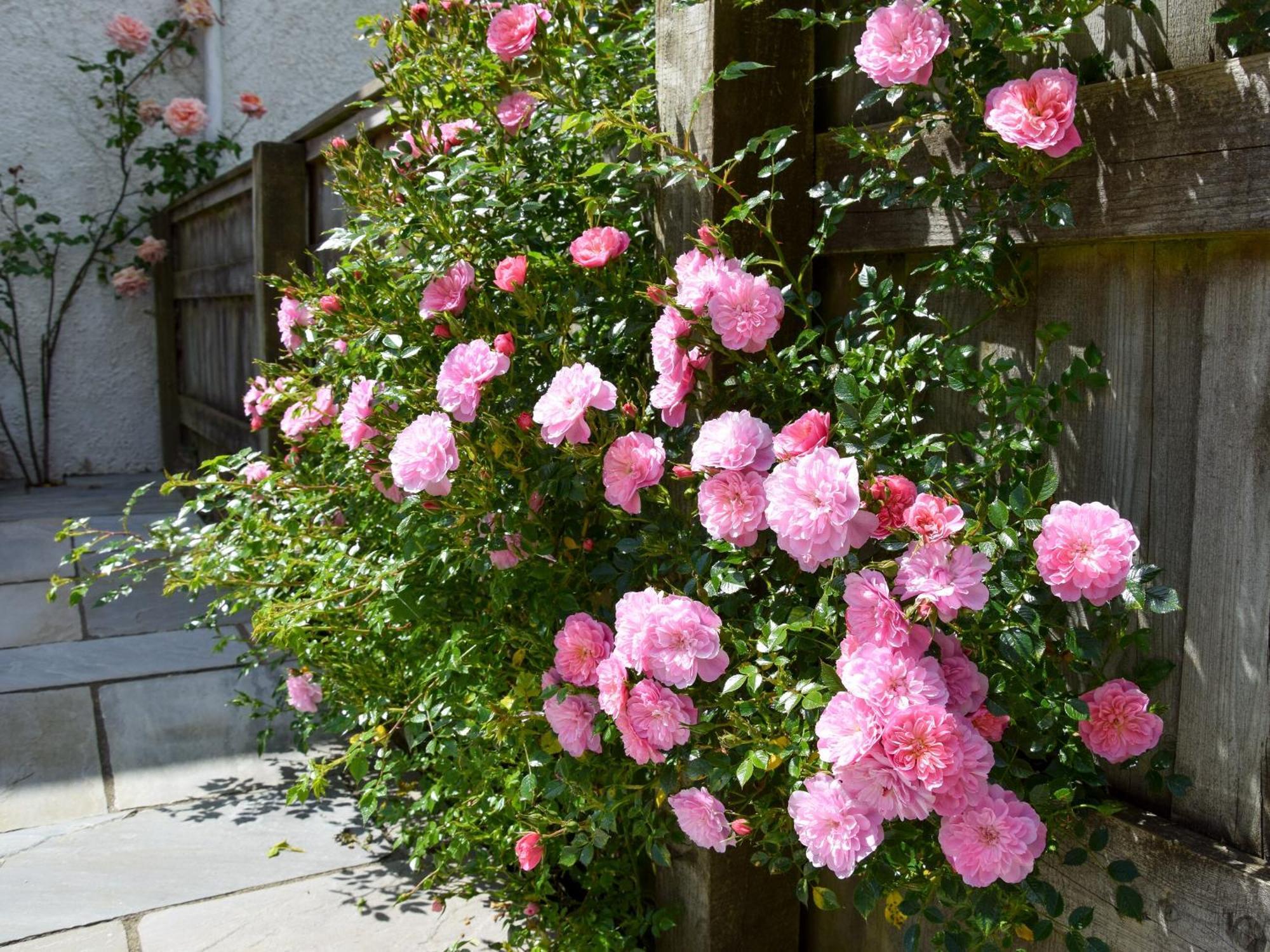 Sweet Briar - 8234 Villa Bridport Luaran gambar